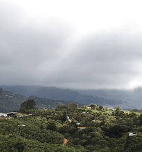 Lade das Bild in den Galerie-Viewer, COSTA RICA – Allerheiligen!